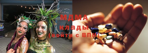 индика Володарск