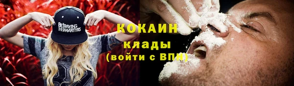 индика Володарск