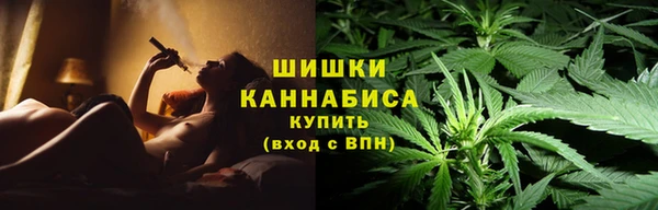 молекула духа Волосово