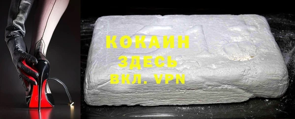 индика Володарск
