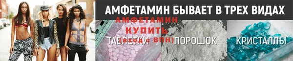 молекула духа Вяземский