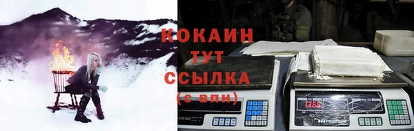 индика Володарск