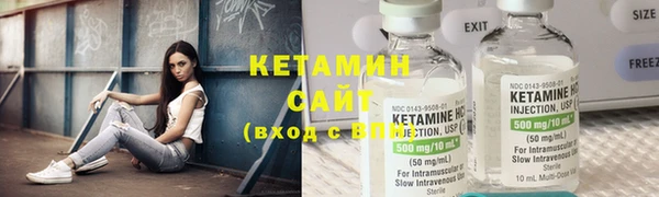 молекула духа Вяземский