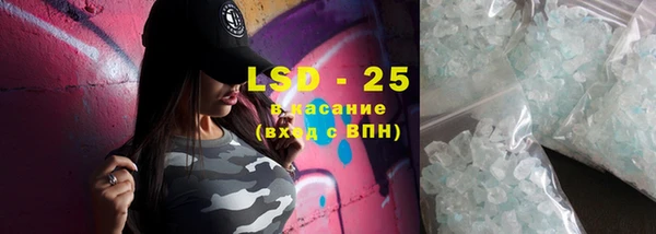 индика Володарск