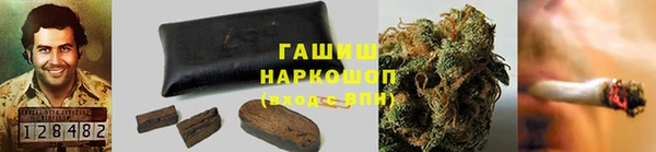 индика Володарск