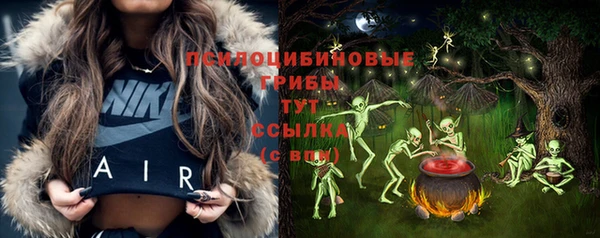 молекула духа Волосово