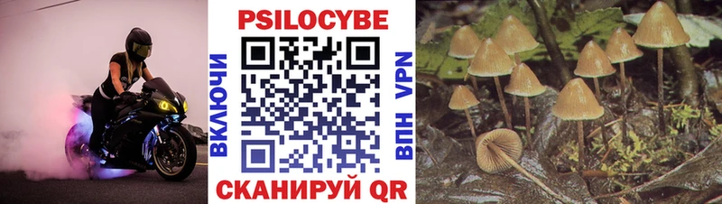 Галлюциногенные грибы мицелий  Электросталь 
