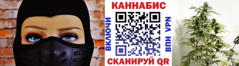 Бошки Шишки марихуана  Электросталь 